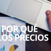 cuando y por qué cambian los precios